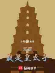 知否:我是皇太子