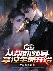 官途:从帮助领导掌控全局开始