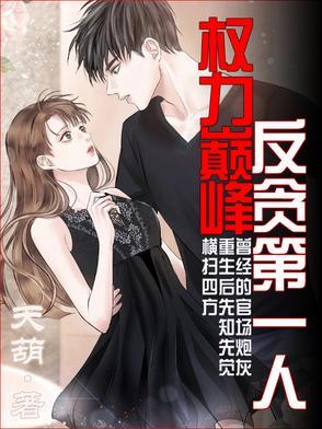 权力巅峰:反贪第一人