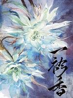 一衿香[双视角]