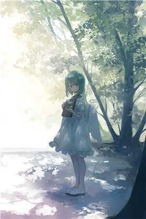 桃源古风直播,开局被大熊猫跟踪精品选集