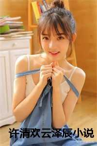 许清欢云泽辰