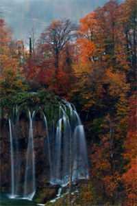 医妃又美又飒,专治傲娇王爷阅读全集