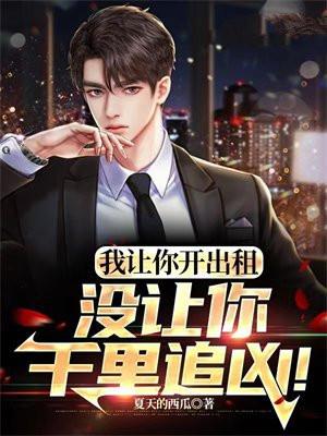 我让你开出租,没让你千里追凶!