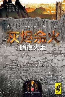 灰烬余火2:暗夜火炬